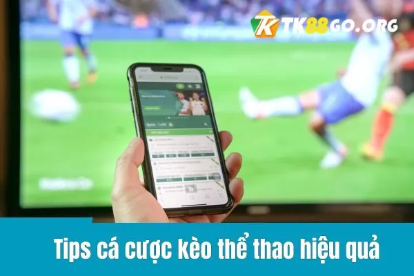 Tips cá cược kèo thể thao hiệu quả