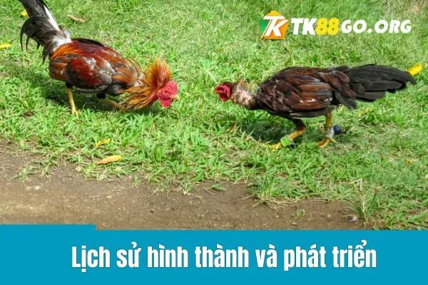 Lịch sử hình thành và phát triển