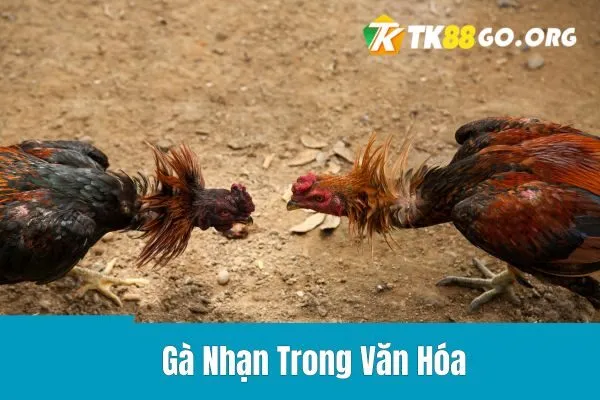 Gà Nhạn Trong Văn Hóa