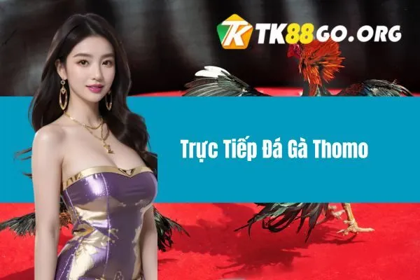 đá gà Thomo